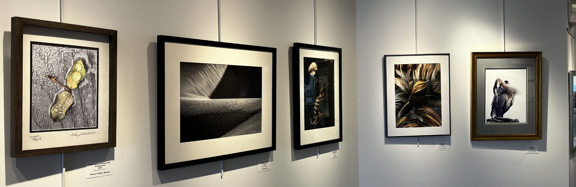 Featured in the Sisson Galleria / "Texture", Juried Photography Show